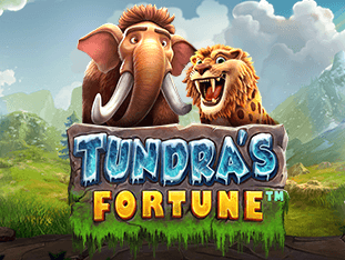 Tundra's Fortune game thumbnail