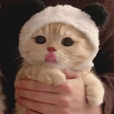 Fazal-ur-Rehman avatar